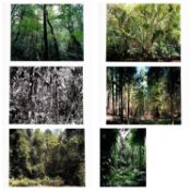 Thomas Struth (1954 Geldern – lebt in Berlin)