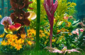 Marc Quinn (1964 London – lebt in London) R