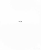 Kiki Smith (1954 Nürnberg – lebt in Berlin)