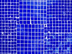 Sara VanDerBeek (1976 Baltimore – lebt in New York)