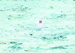 Cornelius Völker (1965 Kronach – lebt in Düsseldorf) R