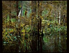 Robert Glenn Ketchum (1947 USA – lebt in Los Angeles)