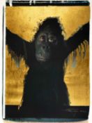 Werner Pawlok (1953 Stuttgart – lebt in Stuttgart)