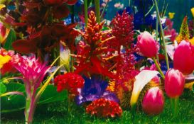 Marc Quinn (1964 London – lebt in London) R