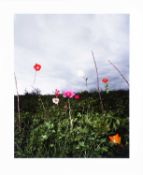 Collier Schorr (1963 New York City – lebt in New York City) R