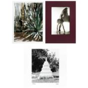 Marco van Duyvendijk & Wolfgang Laib & Germaine Krull