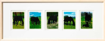 Oliver Blomeier (1967 Karlsruhe – lebt in Karlsruhe)