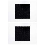 Susan Derges (1955 London – lebt in Devon)