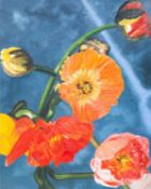 Andreas Schön (1955 Kassel – lebt in Düsseldorf) R