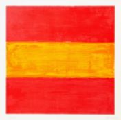 Günther Förg (1952 Füssen - Freiburg 2013) R