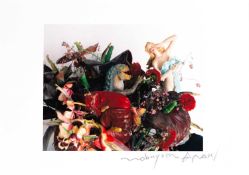 Nobuyoshi Araki (1940 Tokio – lebt in Tokio)