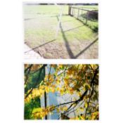 Peter Piller (1968 in Fritzlar – lebt in Hamburg) R