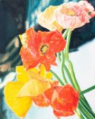 Andreas Schön (1955 Kassel – lebt in Düsseldorf) R