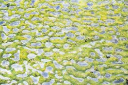 Michael Poliza (1958 Hamburg – lebt in Kapstadt) R