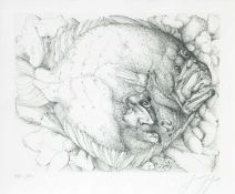 Günter Grass (1927 Danzig-Langfuhr - Lübeck 2015)