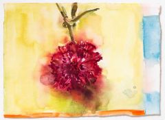 Lisa Hoever (1952 Münster – lebt in der Schweiz)