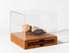 Daniel Spoerri (1930 Galați - Wien 2024)