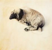 Claudio Bravo (1936 Valparaíso - Taroudannt 2011)