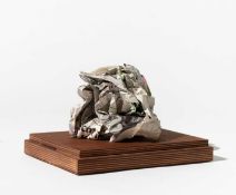 Wang Du (1956 Wuhan – lebt in Paris)