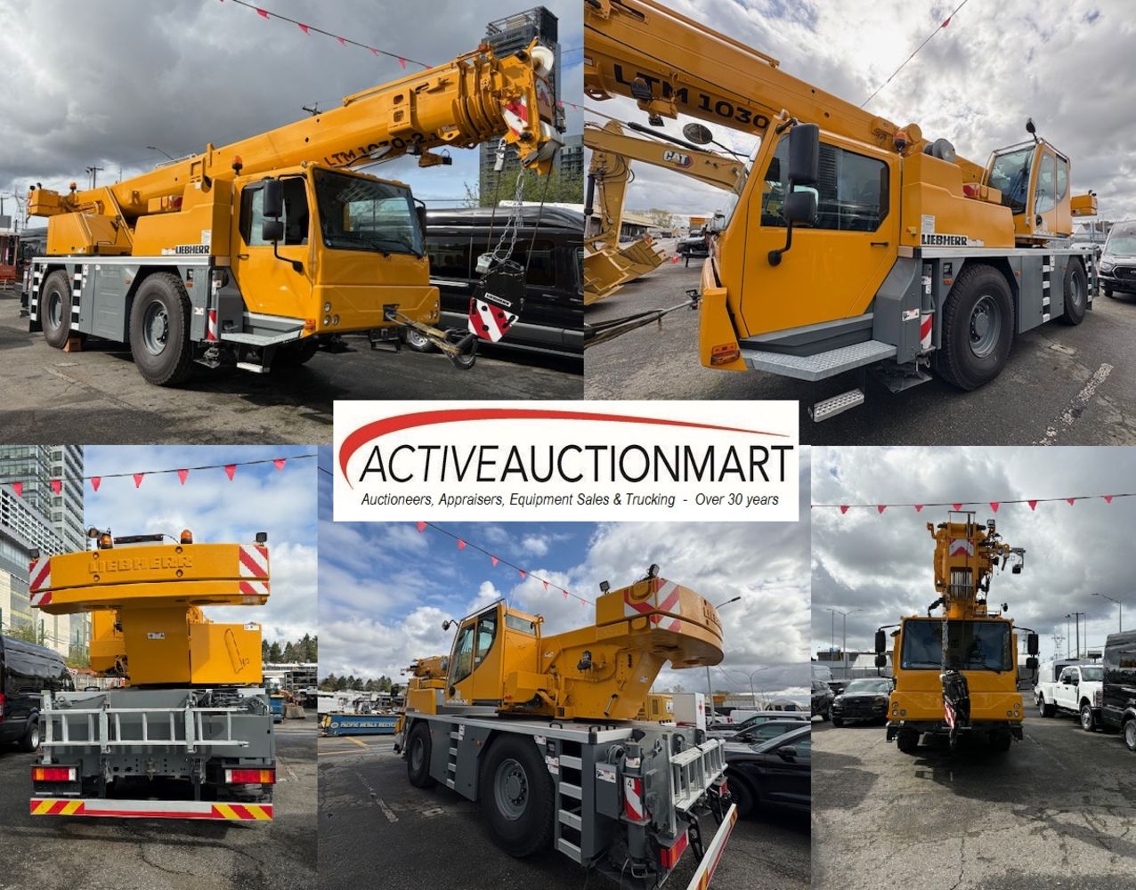 Unused 2022 Liebherr, Model 1030-2.1 Mobile Crane