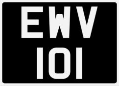 &nbsp; EWV 101 Registration Number&nbsp;