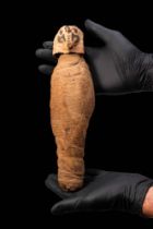 RARE EGYPTIAN RITUAL MUMMY OF A FALCON