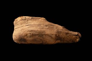 EGYPTIAN MUMMY OF IBIS