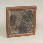 Large Fossil