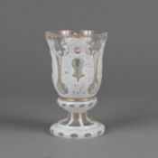 Glass Beaker