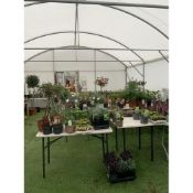 WELCOME TO ASHLEY WALLER HORTICULTURE AUCTION ONLINE - LOTS ARE BEING ADDED DAILY