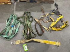 LOT OF RIGGING STRAPS AND HARNESSES; MULTIPLE MAKES, MODELS, AND CAPACITIES