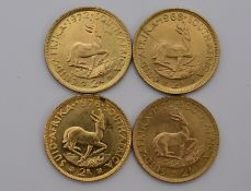 Südafrika Investment, 4-mal Goldmünze 2 Rand.