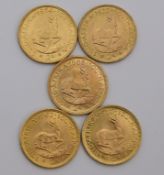 Südafrika Investment, 5-mal Goldmünze 2 Rand.