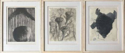 Rainer WÖLZL (1954), 3 Arbeiten: Callas, Bleistiftzeichnung, rücks. signiert und datiert '91, 26 x