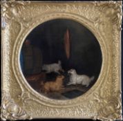 Unbekannter Künstler, England, 19. Jh., Spielende Hunde, Öl/Lwd (aufgez.), rund gerahmt, D 37 cm,