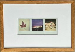 Nobuyoshi ARAKI (1940), Polaroid mit gefesselter Japanerin, siehe Serie Bondage, dazu zwei weitere