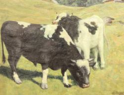 Timed Auction Frühjahr 2025