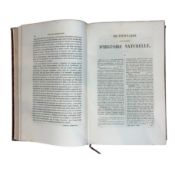 DICTIONNAIRE UNIVERSEL D'HISTOIRE NATURELLE (Paris, 1847 - 49)