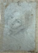 Attributed to Andrea del Sarto (1486–1530), Florentine School, Early 16th Century
"Female Portrait 