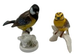 Paar Vögel