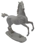 Reitpferd