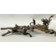 Asiatika Konvolut Amulet Gandhanra, Gürtelschnalle, 2 Drachen und Kamm, wohl China - Bild 12 aus 12