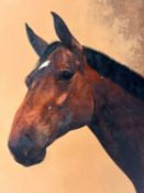 Hermann, Lothar (tätig im 20. Jhdt.), Ölgemälde Pferd Portrait Witiko um 1988