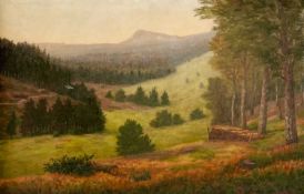 Unleserlich signiert, Ölgemälde weite Wald Landschaft wohl um 1946, 112x72cm