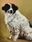 Hermann, Lothar (tätig im 20. Jhdt.), Ölgemälde Portrait Hund wohl Großer Münsterländer