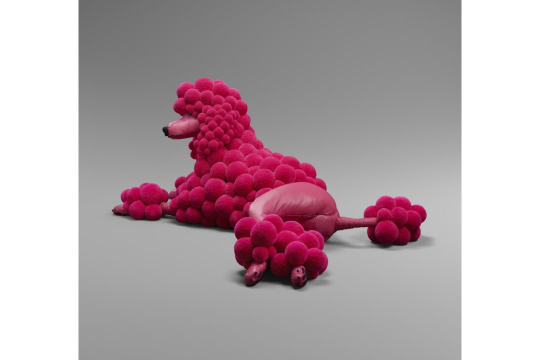 Busekist, Myra von: Pompon Poodle Pink - Bild 2 aus 2