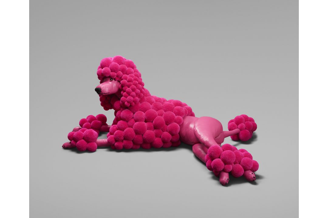 Busekist, Myra von: Pompon Poodle Pink - Bild 1 aus 2