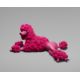 Busekist, Myra von: Pompon Poodle Pink - Bild 1 aus 2