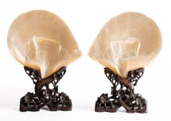 A pair of Chinese mother-of-pearl shells on hardwood stands carved with prunus, late Qing,