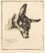 Richard Müller (German, 1874-1954) - Mein Hund Boy - Etching - 16 x 14cm - 31.5 x 29.